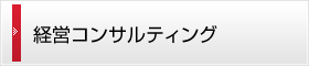 経営コンサルタント